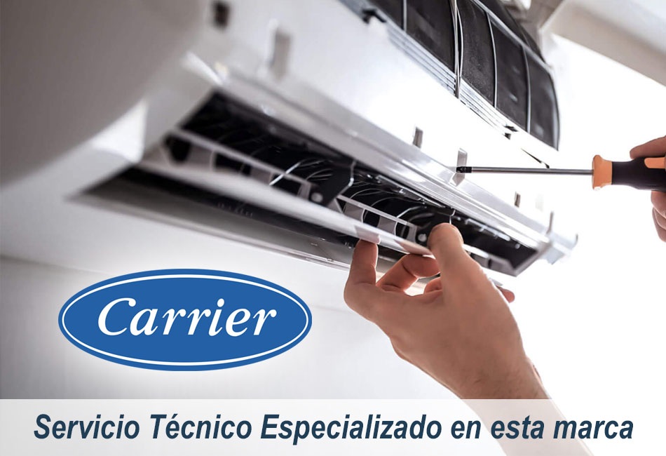Carrier Servicio Técnico