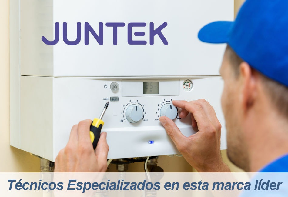 Juntek Servicio Técnico