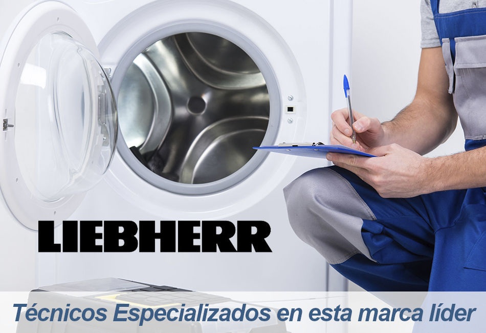 Liebherr Servicio Técnico